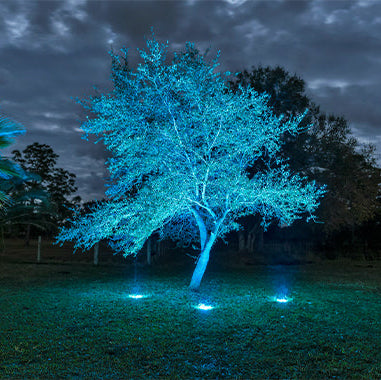 WAC Outdoor Lighting