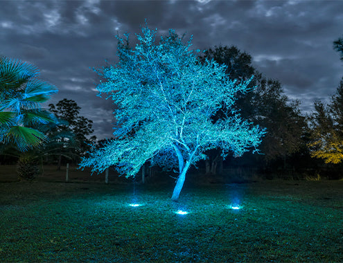 WAC Outdoor Lighting