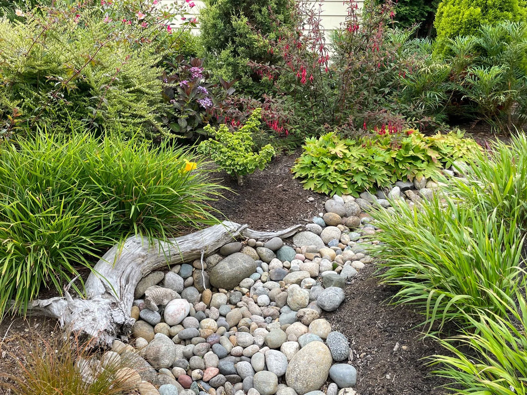 Landscaping Inspiration
