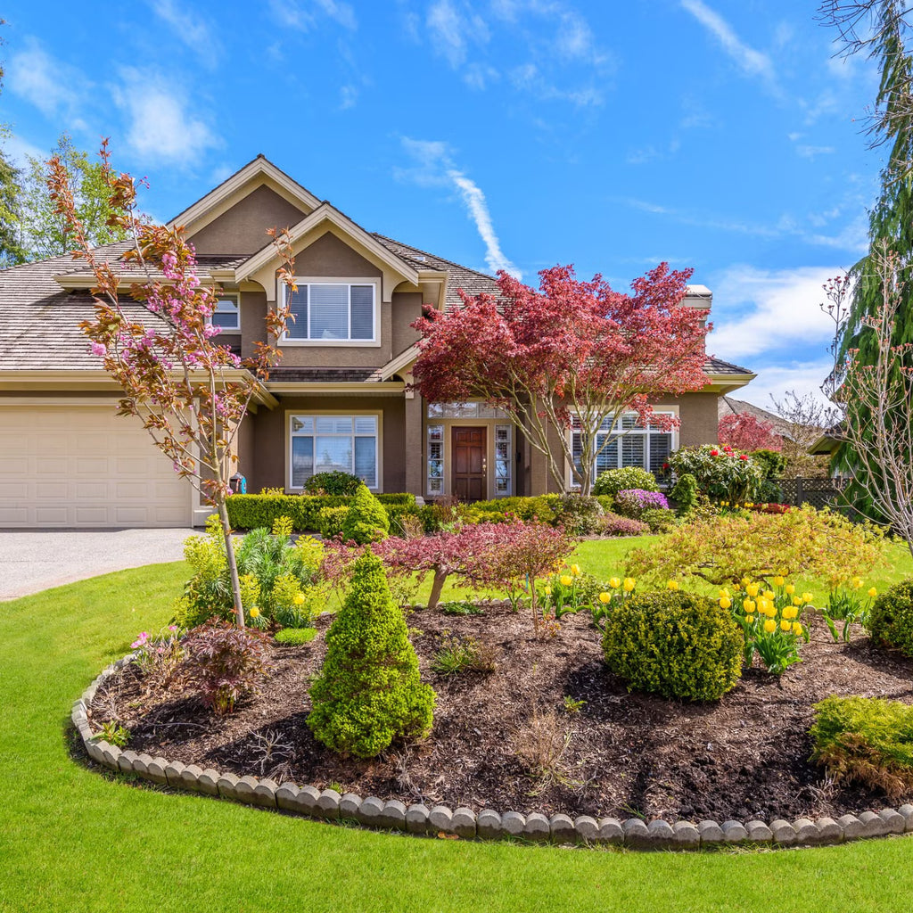 Landscaping Inspiration